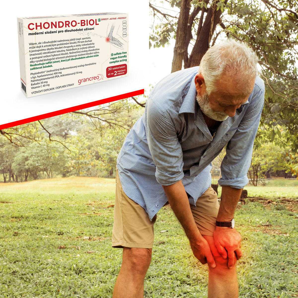 grancreo_Chondro-Biol_kolena_f-2