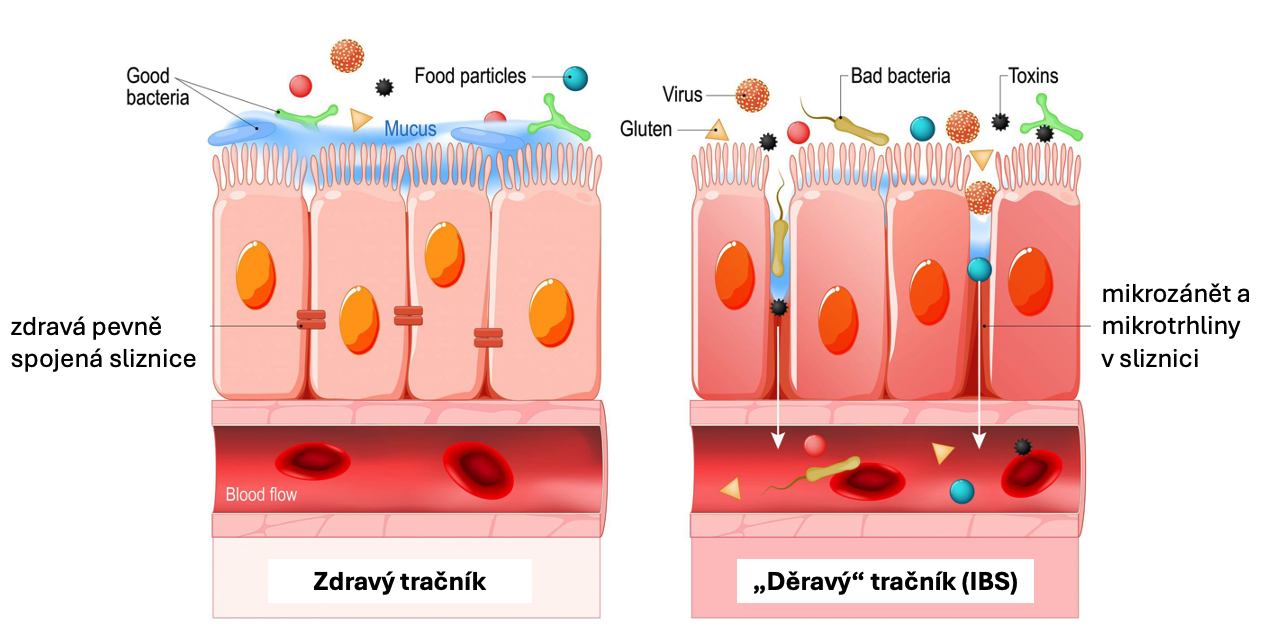 Snímka obrazovky 2024-08-22 o 11.16.43 (3)