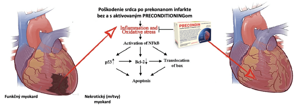 snimka-obrazovky-2024-07-23-o-160044-1024x361