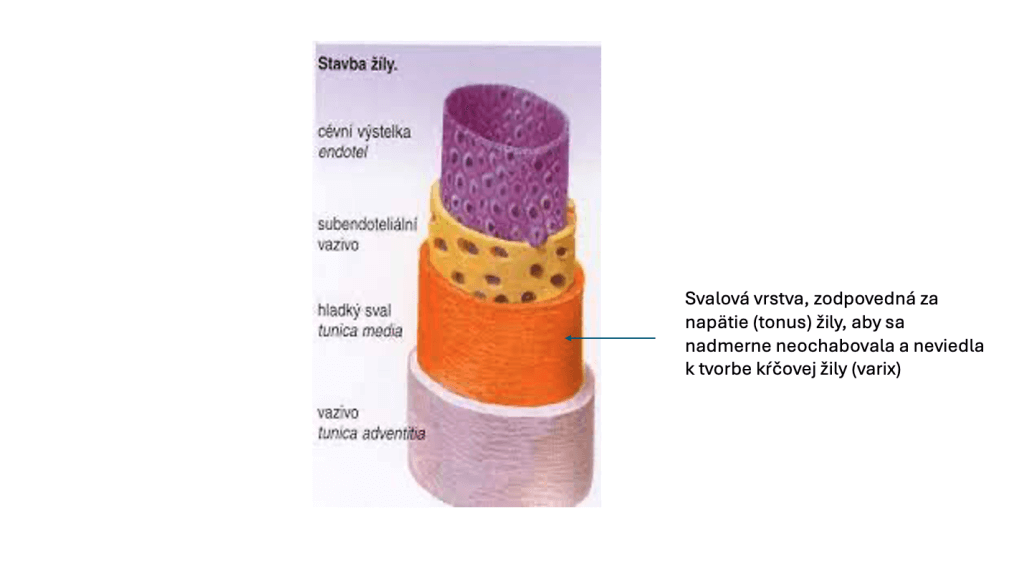 snimka-obrazovky-2024-04-04-o-140143-2-1024x561