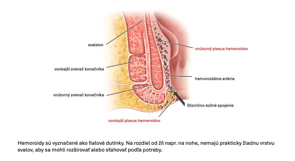 snimka-obrazovky-2024-04-04-o-140221-2-1024x560