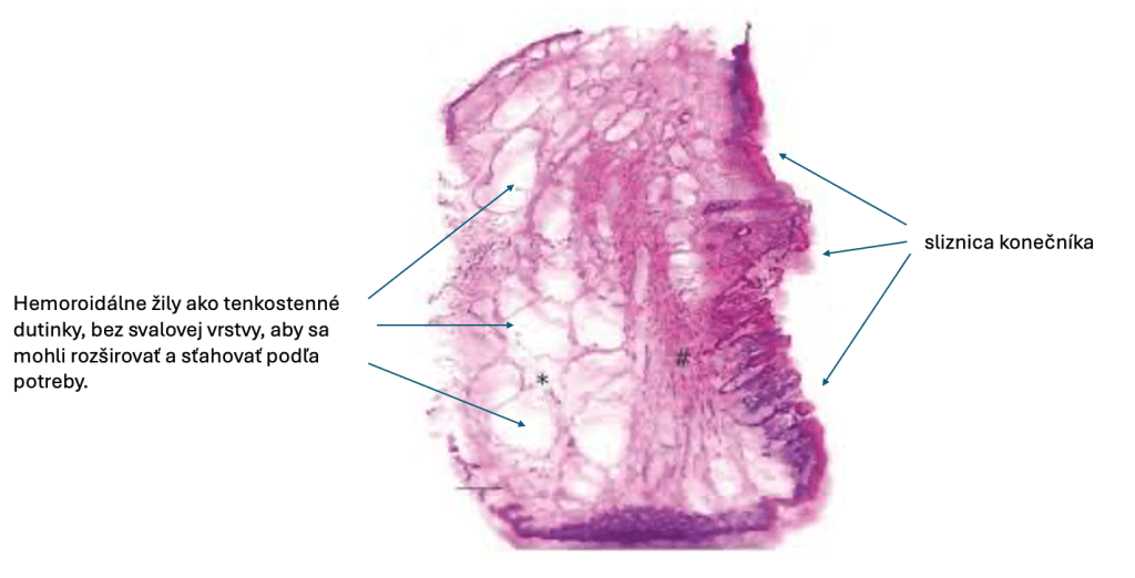 snimka-obrazovky-2024-04-04-o-140245-2-1024x522