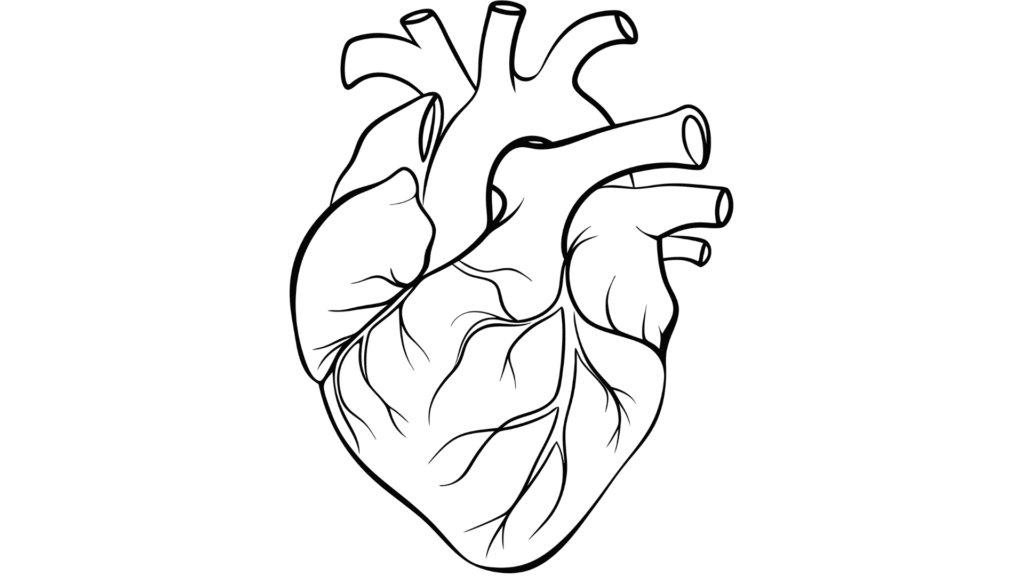 Okrem doplnku je dôležité dbať aj na zdravý životný štýl – pravidelný pohyb, vyváženú stravu a preventívne vyšetrenia.