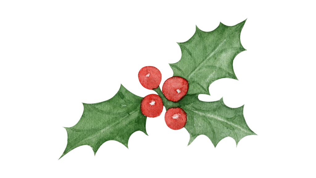 Vianoce si treba vychutnať – nie pretrpieť. S REVICOLINom to pôjde ľahšie.