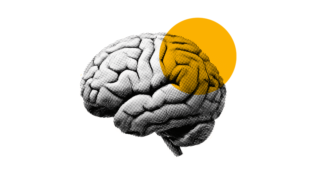 Denný stres, nedostatok spánku a náročná práca môžu spomaliť kognitívne funkcie a zhoršiť pamäť. Výskumy ukazujú, že správna kombinácia živín: