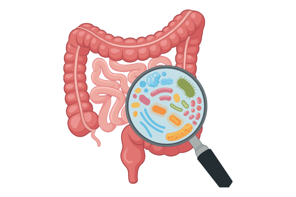 stomach_pain