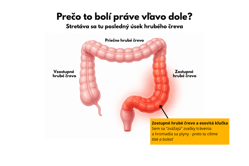 PREČO ŤA BOLÍ PRÁVE VĽAVO DOLE?
